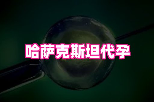 61助孕网 3